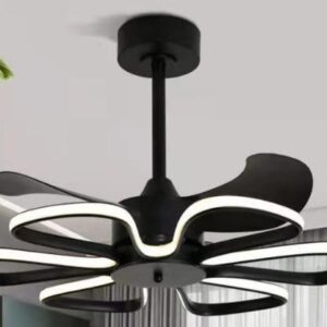 Fan31