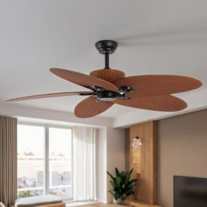 Fan45 FIJIAN