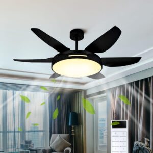 Fan63 NUKE BLACK